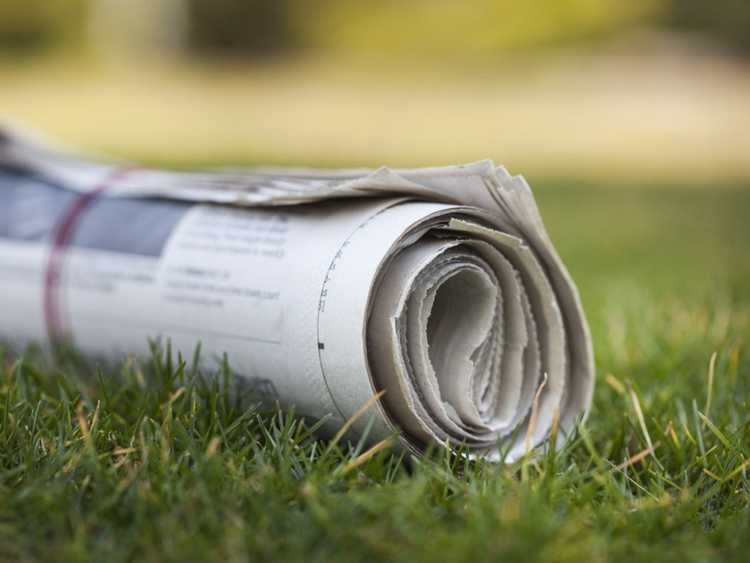 Lire la suite à propos de l’article Journal contre les mauvaises herbes – Le journal tue-t-il les mauvaises herbes ?