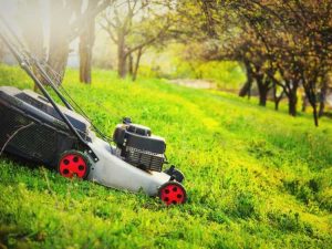 Lire la suite à propos de l’article Comment couper l'herbe sur une colline escarpée