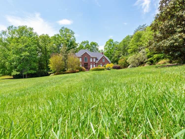 You are currently viewing Qu'est-ce que l'herbe fraîche : découvrez les graminées et les plantes ornementales de saison fraîche