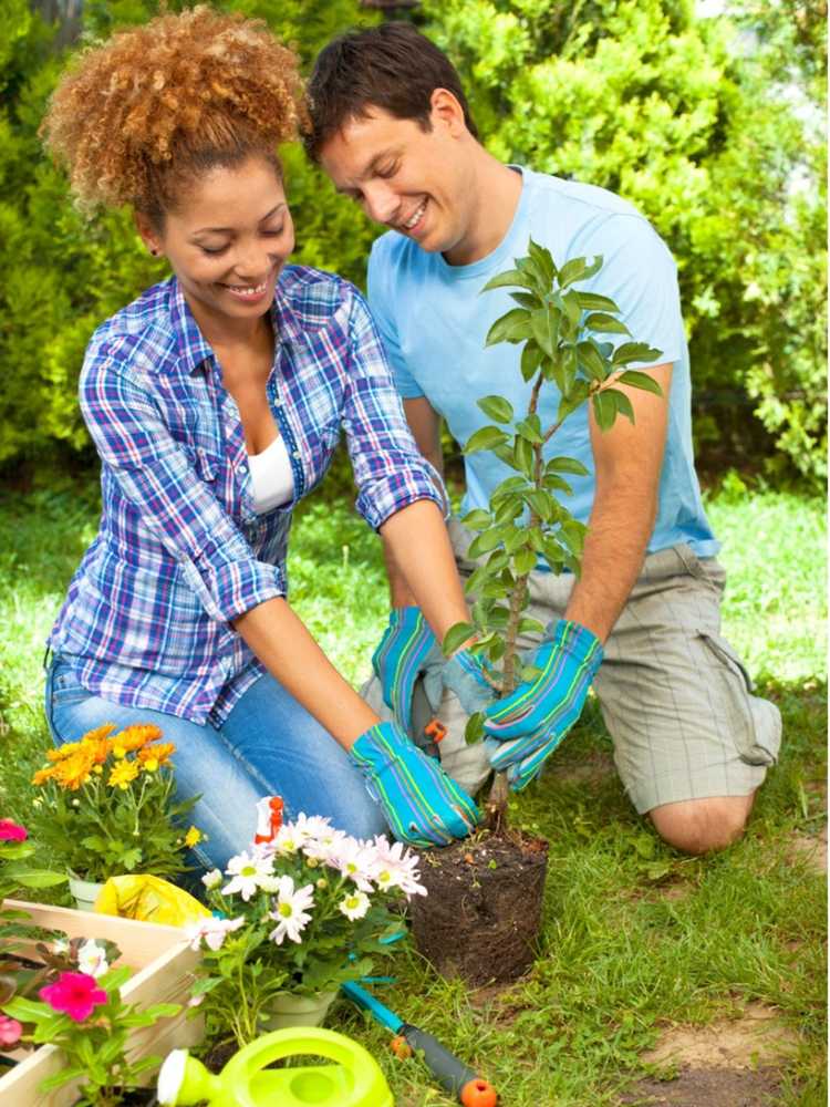 You are currently viewing Jardinage en couple – Idées créatives pour jardiner ensemble