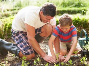 Lire la suite à propos de l’article Plantes du solstice d'été: que planter au solstice d'été