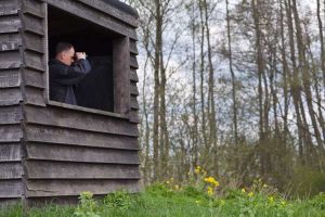 Lire la suite à propos de l’article Qu'est-ce qu'un store pour oiseaux : comment créer un store pour observer les oiseaux