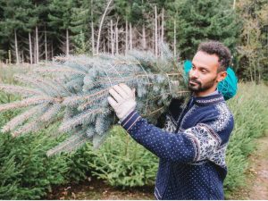 Lire la suite à propos de l’article Comment garder un arbre de Noël vivant : conseils pour garder votre arbre de Noël frais