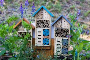 Lire la suite à propos de l’article Hôtel à insectes bricolage : comment créer un hôtel à insectes pour votre jardin