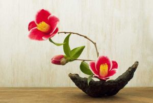 Lire la suite à propos de l’article Qu'est-ce que l'Ikebana – Comment réaliser des projets floraux d'Ikebana