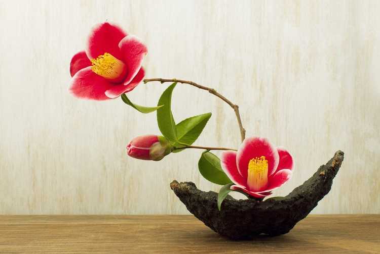 You are currently viewing Qu'est-ce que l'Ikebana – Comment réaliser des projets floraux d'Ikebana