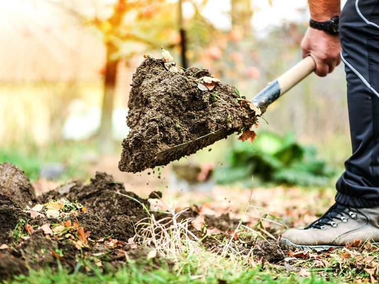Lire la suite à propos de l’article Meilleur moment pour appliquer du compost et des amendements de sol