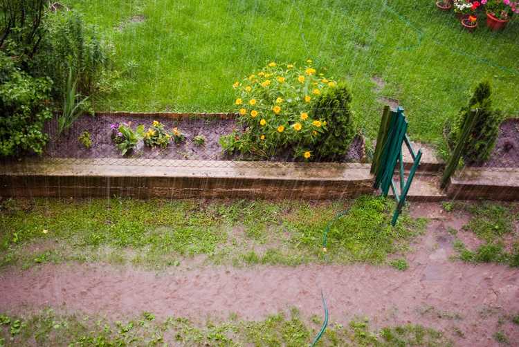 Lire la suite à propos de l’article Pluies torrentielles et plantes : que faire si la pluie fait tomber les plantes