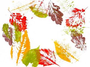 Lire la suite à propos de l’article Idées artistiques d’impression de feuilles : réaliser des impressions avec des feuilles