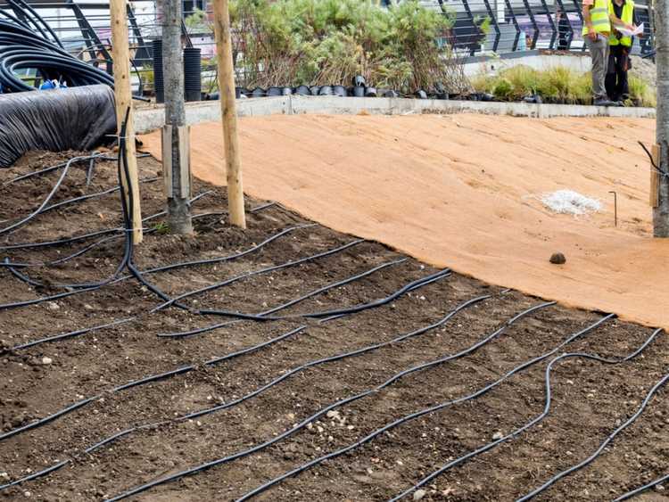 Lire la suite à propos de l’article Irrigation goutte à goutte souterraine – La manière la plus durable d’arroser
