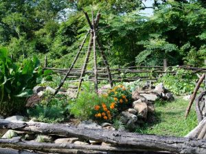 Lire la suite à propos de l’article Plantes de jardin coloniales : conseils pour cultiver et concevoir des jardins de la période coloniale