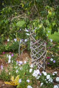 Lire la suite à propos de l’article Jardins d'arborsculpture : comment créer une sculpture d'arbre vivante