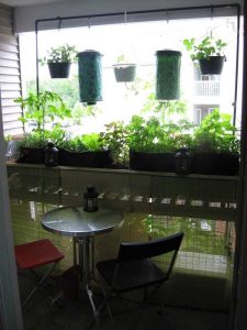 Lire la suite à propos de l’article Jardinage bio-intensif sur balcon – Comment faire pousser des jardins bio-intensifs sur les balcons