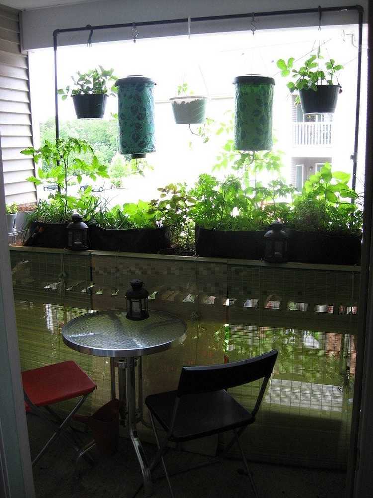 You are currently viewing Jardinage bio-intensif sur balcon – Comment faire pousser des jardins bio-intensifs sur les balcons