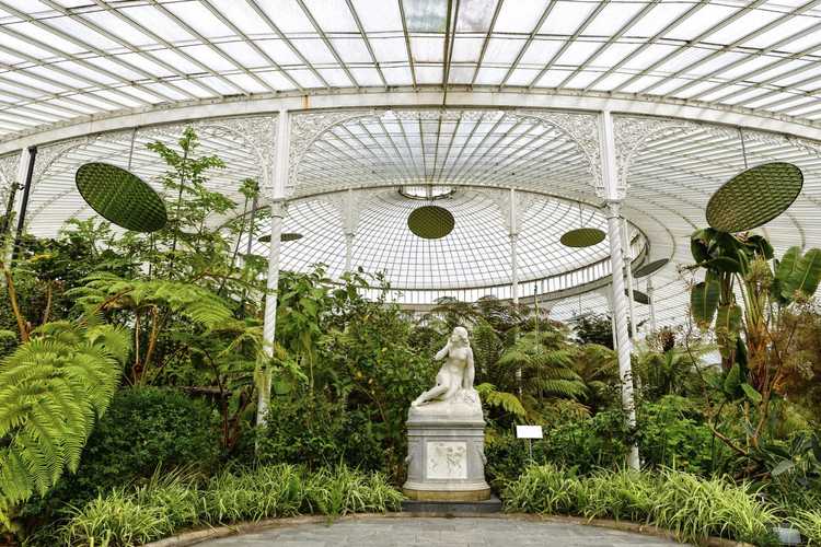 You are currently viewing Que sont les jardins botaniques – Informations sur le jardin botanique