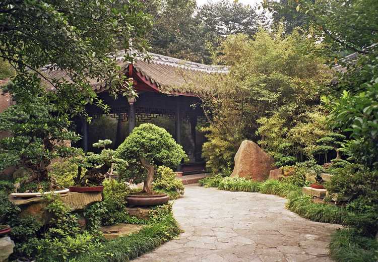 You are currently viewing Conception de jardin chinois : conseils pour créer des jardins chinois