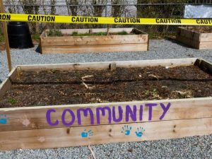 Lire la suite à propos de l’article Jardinage communautaire pendant Covid – Jardins communautaires socialement éloignés