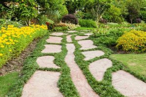 Lire la suite à propos de l’article Pourquoi planter un jardin d'allée : raisons de jardiner le long des allées