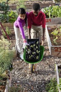 Lire la suite à propos de l’article Jardins pour enfants : qu'est-ce qu'un jardin d'apprentissage