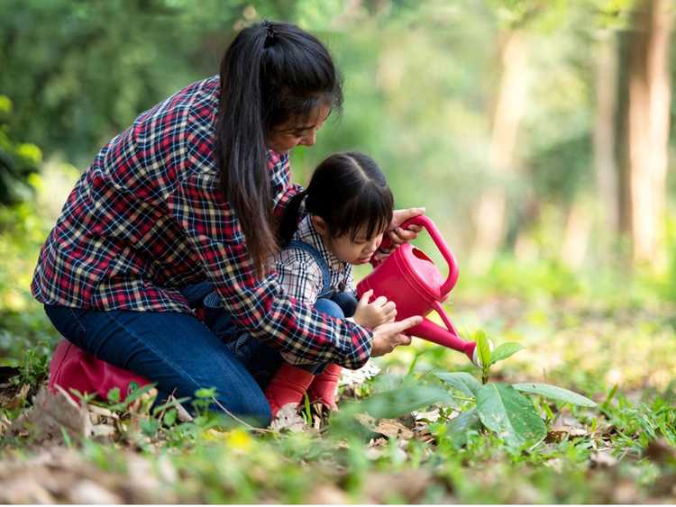 You are currently viewing Conseils de jardinage pour débutants : Démarrer avec le jardinage