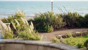 Lire la suite à propos de l’article Jardins en bord de mer – Attrapez la vague avec le jardinage en bord de mer