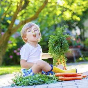 Lire la suite à propos de l’article Snacks du jardin : conseils pour créer des jardins de collations pour les enfants