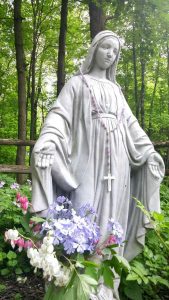 Lire la suite à propos de l’article Idées de jardin de la Vierge Marie – Créer un jardin de Marie dans votre jardin