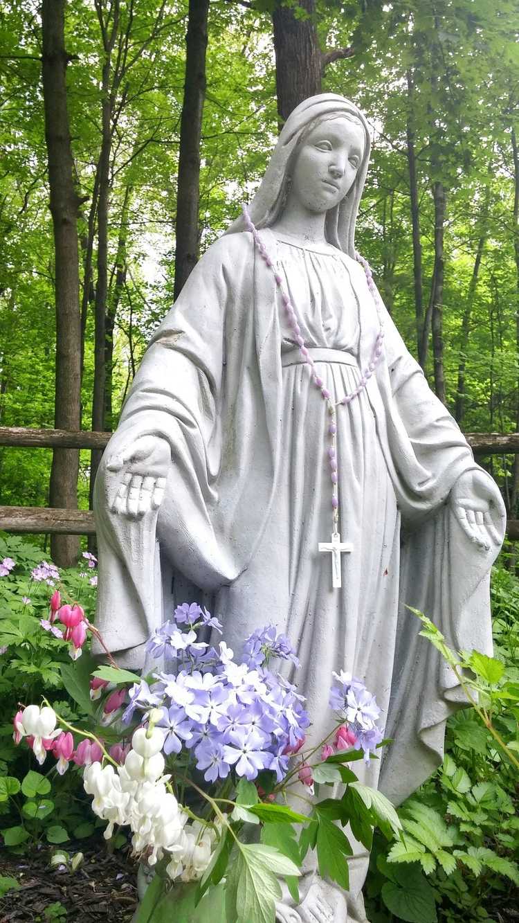 You are currently viewing Idées de jardin de la Vierge Marie – Créer un jardin de Marie dans votre jardin