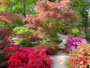 Lire la suite à propos de l’article Utiliser la géométrie dans les jardins : planifier un jardin en rectangle d'or