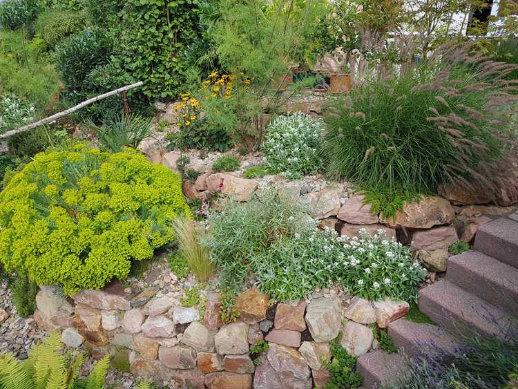 You are currently viewing Hillside Rock Garden: Comment construire un jardin de rocaille sur une pente