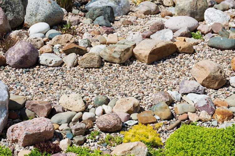 You are currently viewing Rocaille facile d'entretien : quand planter un jardin de rocaille