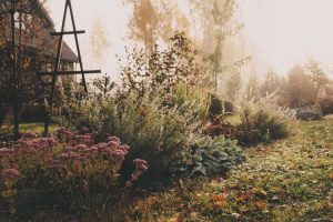 Lire la suite à propos de l’article Jardins de chalet d'hiver : comment garder un jardin de chalet attrayant en hiver