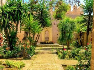 Lire la suite à propos de l’article Jardin de style marocain : comment concevoir un jardin marocain