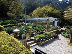 Lire la suite à propos de l’article Qu'est-ce qu'un jardin biologique : informations sur la culture de jardins biologiques