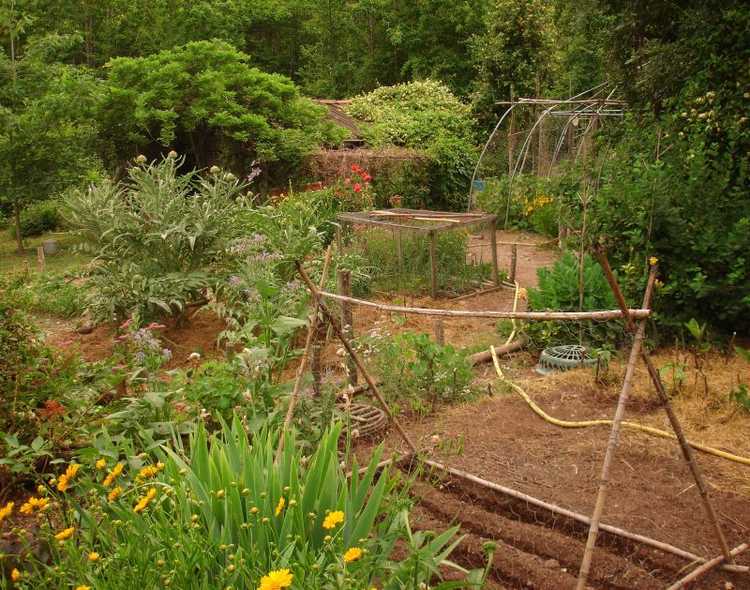 Lire la suite à propos de l’article Comment concevoir un jardin potager