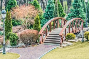 Lire la suite à propos de l’article Qu'est-ce qu'un jardin de promenade – Comment créer un jardin de promenade à la maison