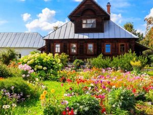 Lire la suite à propos de l’article Idées de conception de jardin russe – Cultiver des plantes de jardin russes