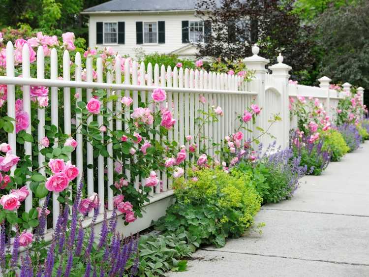 Lire la suite à propos de l’article Idées de conception de jardin des années 1920 pour votre maison