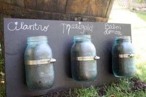 Lire la suite à propos de l’article Jardin d'herbes aromatiques Mason Jar : Cultiver des herbes dans des bocaux de conserve