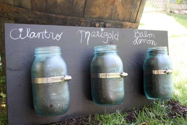 You are currently viewing Jardin d'herbes aromatiques Mason Jar : Cultiver des herbes dans des bocaux de conserve