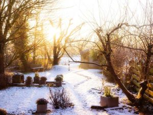 Lire la suite à propos de l’article Jardinage d'hiver à faire et à ne pas faire – Que faire dans un jardin en hiver