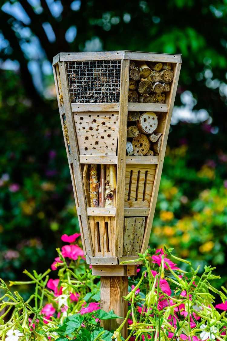 You are currently viewing Créer des jardins d'insectes : attirer des insectes bénéfiques pour un jardin
