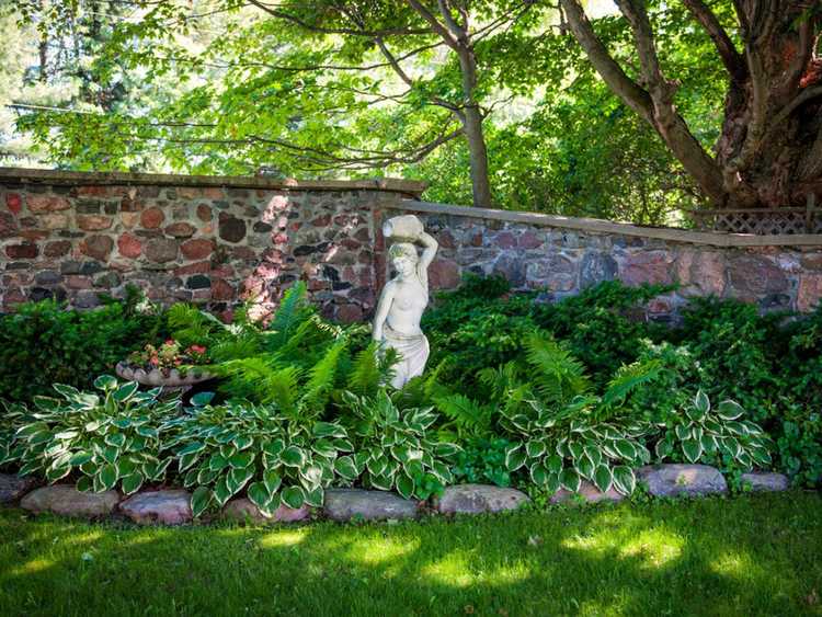 Lire la suite à propos de l’article Découvrir les avantages du jardinage à l'ombre