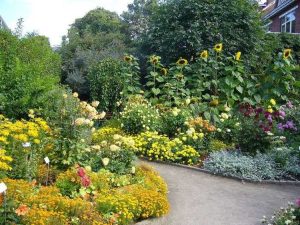 Lire la suite à propos de l’article Dix belles raisons pour lesquelles j'aime les jardins de fleurs