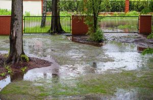 Lire la suite à propos de l’article Nettoyage des dégâts causés par les inondations : conseils pour minimiser les dégâts causés par les inondations dans le jardin