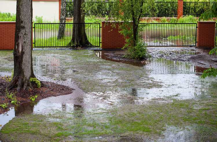 You are currently viewing Nettoyage des dégâts causés par les inondations : conseils pour minimiser les dégâts causés par les inondations dans le jardin