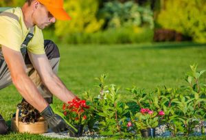 Lire la suite à propos de l’article Embaucher des paysagistes de jardin : comment trouver un paysagiste de bonne réputation