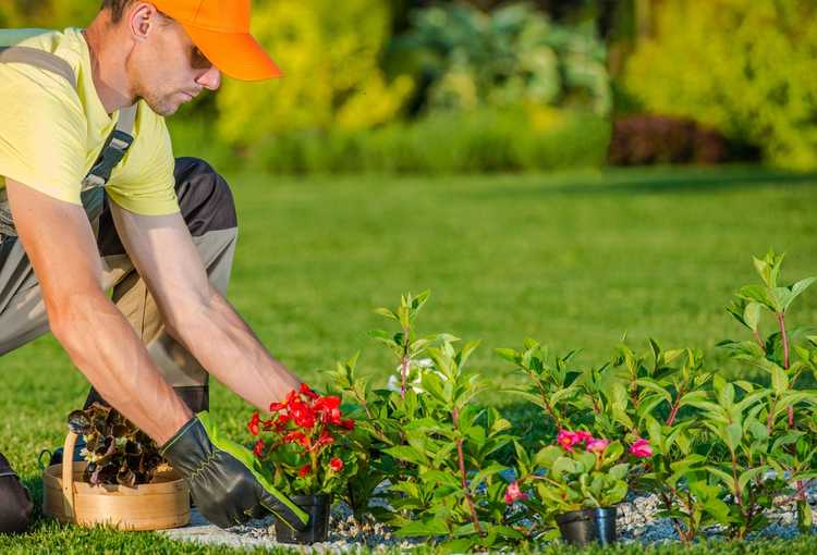 You are currently viewing Embaucher des paysagistes de jardin : comment trouver un paysagiste de bonne réputation