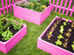 Lire la suite à propos de l’article Créez un jardin entièrement rose inspiré de la tendance Barbiecore