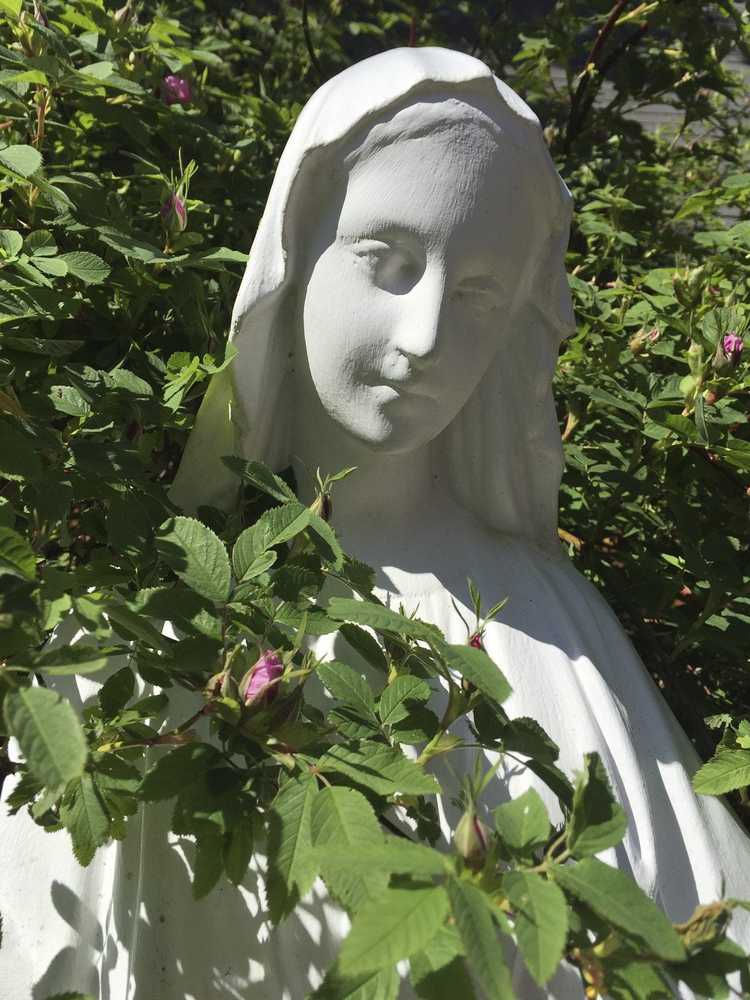 You are currently viewing Qu'est-ce qu'un jardin saint – Apprenez à concevoir un jardin des saints